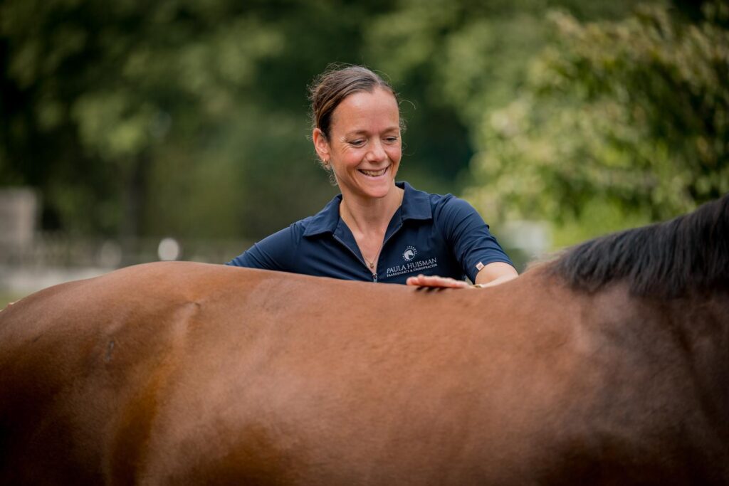 chiropractie paarden