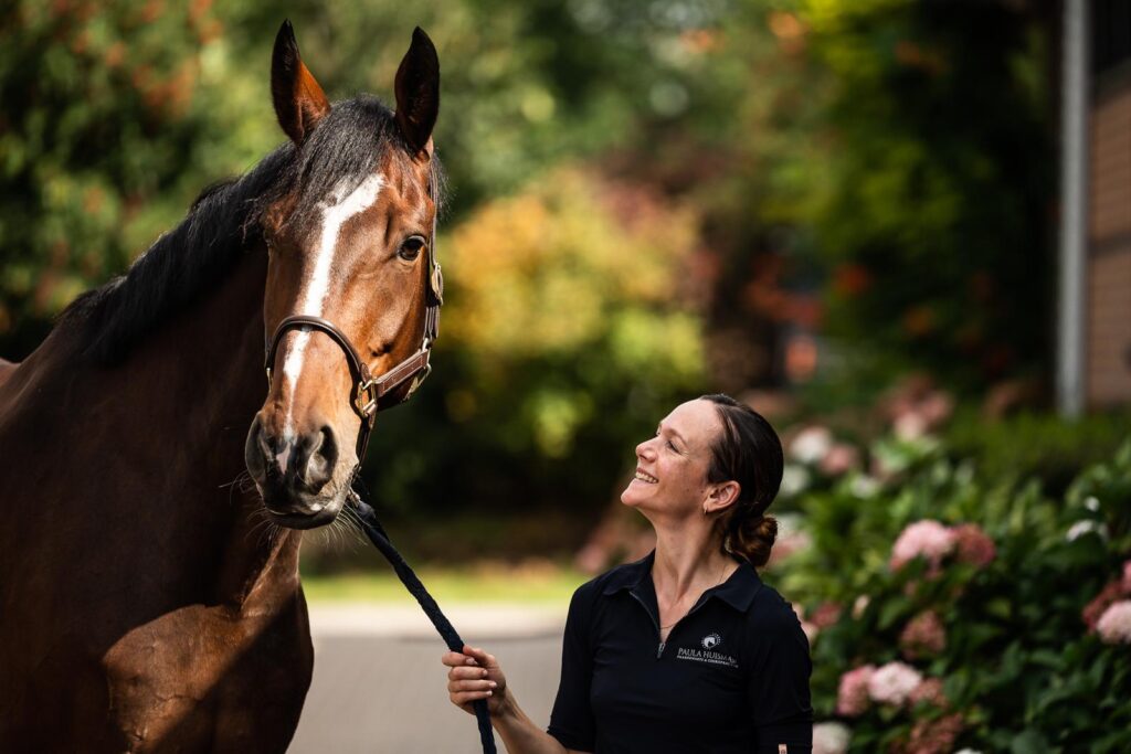 paardenarts en chiropractor